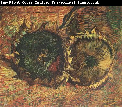 Vincent Van Gogh Two Cut Sunflowers (nn04)